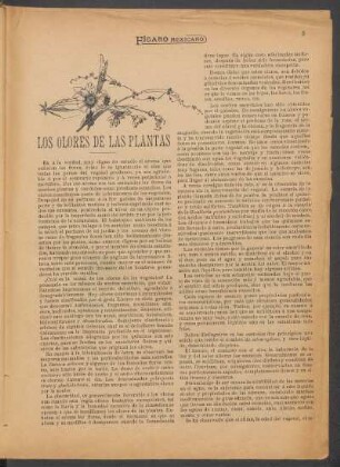 Los olores de las plantas