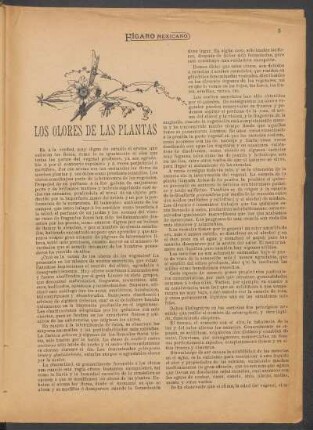 Los olores de las plantas