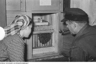 Mecklenburg - Stolpe, 1952