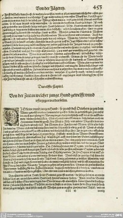 Das eilffte Capitel. - Das zwentzigste Capitel.