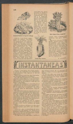 Instantáneas