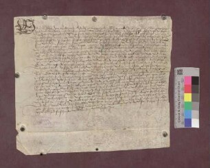 Abt Diethelm von St. Gallen belehnt Maximilian von Ebenstein und Christoph von Falkenstein mit dem Schloß Schneeburg und dem Bauhof und der Vogtei zu Ebringen, Talhausen und Berghausen.