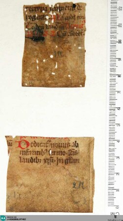 Aus Breviarium, Fragment - Cod. Aug. Fr. 56