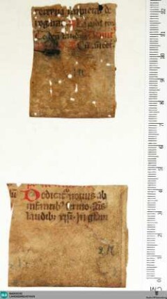 Aus Breviarium, Fragment - Cod. Aug. Fr. 56