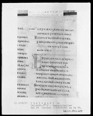 Lateinischer Psalter in Unzialschrift, 3 Bände — Initiale E(xpectans), Folio 24recto