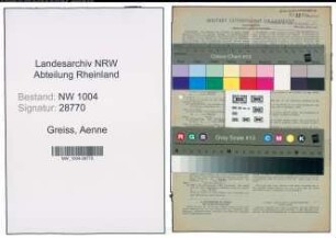 Entnazifizierung Aenne Greiss , geb. 15.01.1899 ()