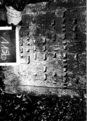 Grabstein 115 [Nir S. 83f. Nr. 9.01]: Grabstein 115 (Detailaufnahme 2) [Nir S. 83f. Nr. 9.01]