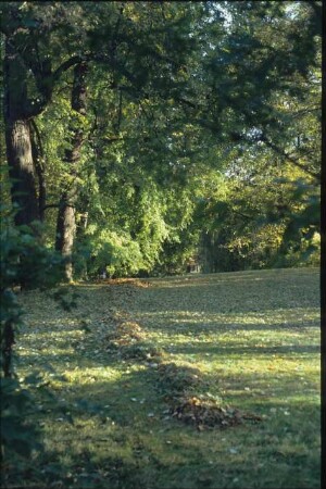 Bad Muskau, Fürst-Pückler-Park