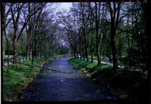 Bad Krozingen: Kurparkwege beiderseits des Neumagen