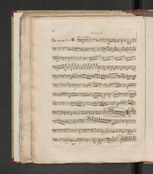 Quartetto III.