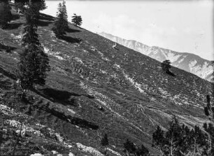 Berghang : Blick auf einen Berghang