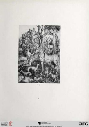 Tafel I-XVIII