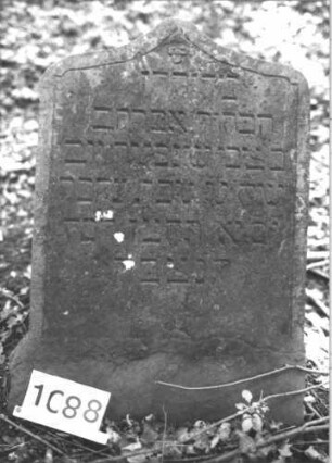 Grabstein 1088 (Index: 99899738) Material: Sandstein Zustand: leicht verwittert Maße HxBxT: 97x63x7 cm Beschreibung: Stele mit Kielbogenabschluss, von der Spitze herabhängende Blüte Symbolik: Blüte: Grabstein 1088