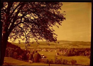 Hinterzarten im Frühsommer
