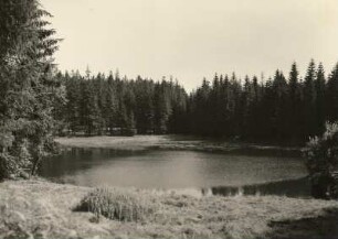 Sächsische Schweiz. Taubenteich im Taubenbachtal südlich von Cunnersdorf