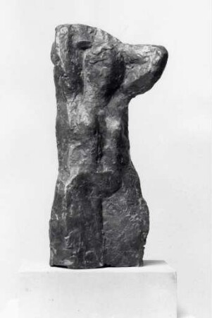 Kleiner Torso