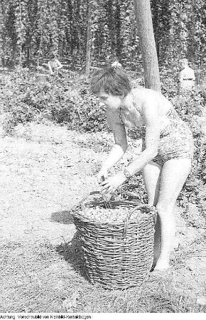 Landwirtschaft, September 1958 - März 1959