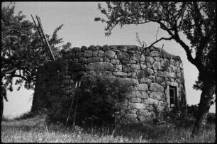 Weifa (obersorbisch Motydło). Holländermühle, Ruine