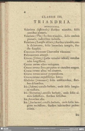 Classis III. Triandria
