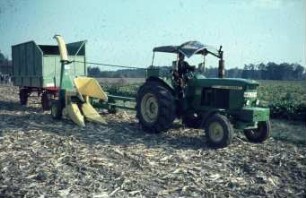 Fotografie: Ernteverfahren, Silomais, Feldhäcksler gezogen, Maisgebiss, Trommelfeldhäcksler