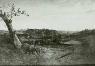 Baumlandschaft mit Schweinen