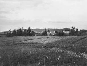 Weideland : Blick über eine Weide. Im Hintergrund zwischen zwei Wäldern ein Dorf