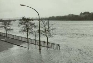 Dresden. Elbehochwasser im Juni 1965 (Wasserstand 6m Dresdner Pegel) : Dresden, Blick vom Altstädter Brückenkopf der Augustusbrücke elbabwärts zum Japanischen Palais und zur Marienbrücke bei Hochwasser