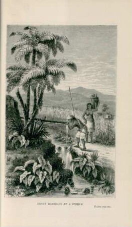 Dusun Borneans at a stream