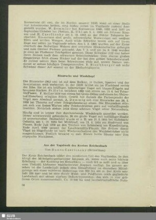 Blauracke und Wiedehopf