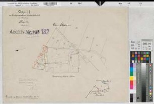 Rheine l.d.Ems (Rheine), Umlegung Hauenhorst, Urkarte I Mesum Flur 4