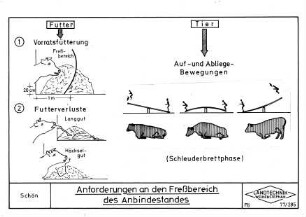 Anforderungen an den Freßbereich des Anbindesstandes
