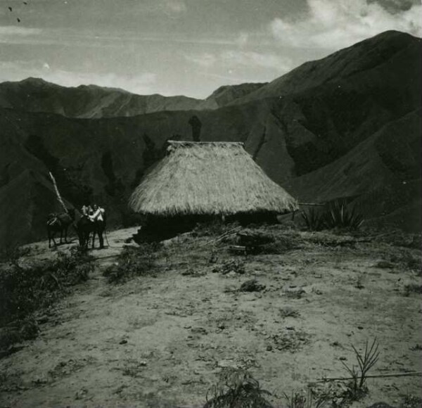 Landscape between Templado and Donachui