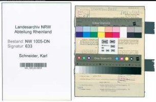 Entnazifizierung Karl Schneider , geb. 04.07.1896 (Kaufm. Angestellter)