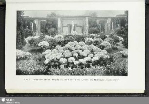 Abb. 7. Italienischer Garten: Pergola von der Rückseite mit Azaleen- und Hydrangea-Gruppen davor