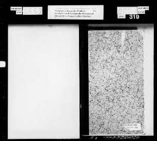 Repertorium der zu dem Gräflich Hohenthal'schen Bergamt Neugeising gehörigen Akten, Protokolle, Bergbücher und sonstigen Schriften, sowohl der beim Bergamte als auch der bei der Herrschaftlichen Schmelzhütte befindlichen Inventarien