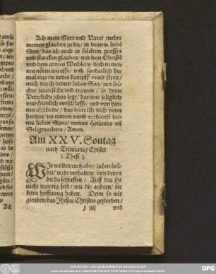Am XXV. Sontag nach Trinitatis/ Epistel 1. Thess. 3.