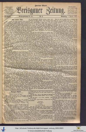 01.01.1893 (Zweites Blatt)