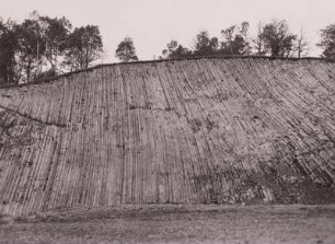 Ostritz, Knorreberg, Basaltbruch