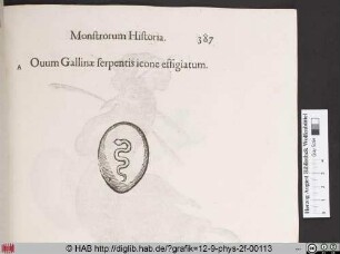 Ouum Gallinae serpentis icone effigiatum.