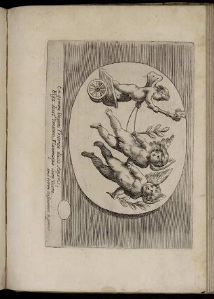 [Abbildung XXXI- XXXV]