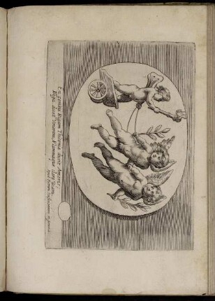 [Abbildung XXXI- XXXV]
