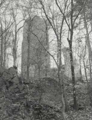 Burg Kohren