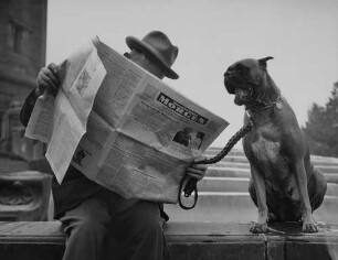 Archivfotografie "motive_tiere_haus_hunde_12037"