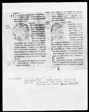 Bibel — Initiale C (um) & Initiale F (actum), Folio 37 verso