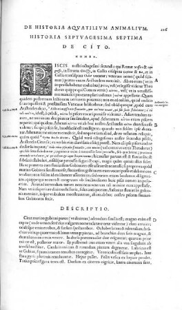 Historia Septuagesima Septima. De Cito
