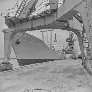 Urlaubsbilder Rostock 64 : Rostock. Hafen. Frachtschiff "Käthe Niederkirchner" am Kai