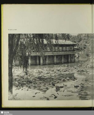 Winkel im Park