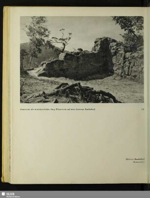 Mauerreste der mittelalterlichen Burg Winterstein auf dem Hinteren Raubschloß