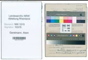 Entnazifizierung Alwin Gerstmann , geb. 04.05.1898 (Klempner)