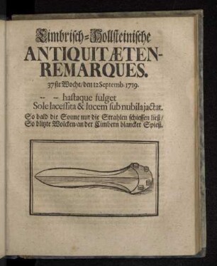 Cimbrisch-Hollsteinische Antiquitæten-Remarques. 37ste Woche/ den 12 Septemb. 1719.